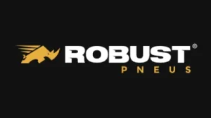 _10_robust_1x